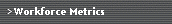 Workforce Metrics